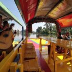 Fiesta on a Trajinera, Tacos, Drinks and Visit Coyoacan - Final Thoughts