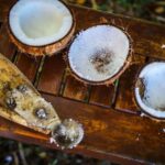 Fiji: Farm Tour: Animals, Honey Tasting & Fijian Cooking - Logistics and Practical Details