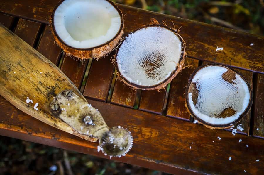 Fiji: Farm Tour: Animals, Honey Tasting & Fijian Cooking - Logistics and Practical Details