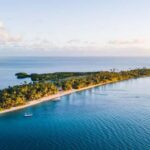 Fiji: Half-Day Island Activities Tour with Jungle Cruise - What Could Be Better?