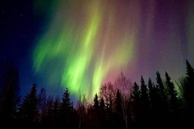 Fire & Ice: Chena Hot Springs, Ice Museum + Aurora Adventure - The Itinerary in Detail