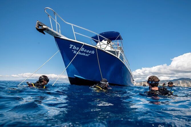 First Time Introductory Scuba Dive - Who Would Love This Tour?