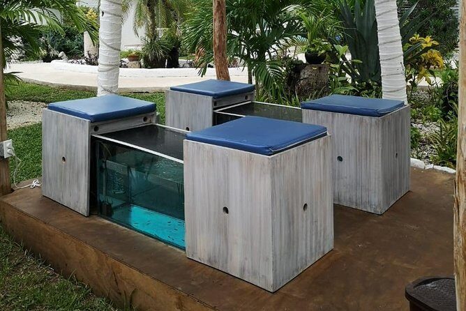 Fish Spa, Beach Break with Lounge Chairs, Umbrellas & Beach Area - The Beach Club Setup