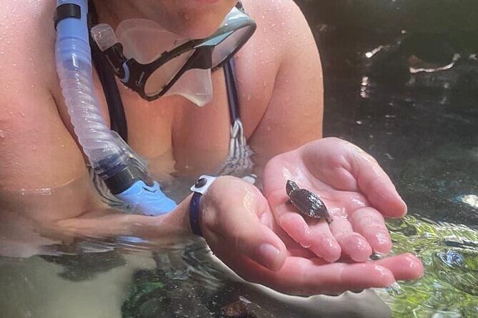 Five Cenotes Jungle Experience in the Riviera Maya - Deep Dive into Each Stop