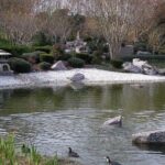 Five Hour Garden Tour - Who Will Love This Tour?