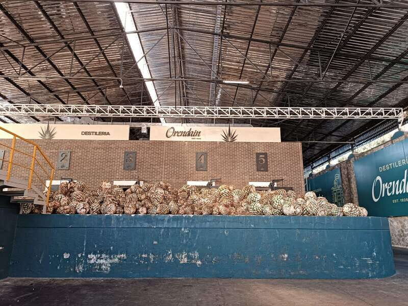 Five-star factory: Meet Orendain tequila. - Who Should Consider This Tour?