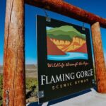 Flaming Gorge Full-Day Bus Tour - What We Love About This Experience
