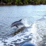 Flamingo Marina: Florida Bay Boat Tour of the Everglades - The Practicalities: What You Need to Know