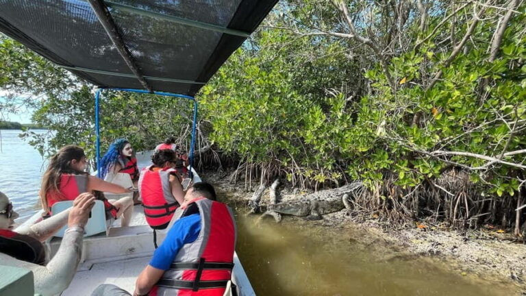 Flamingo tour Rio Lagartos, Yucatan 2 hours - The Experience as a Whole: What You Can Expect