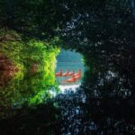Flamingo Watching Private Tour in Celestun Biosphere Reserve - What’s Not Included and Additional Considerations
