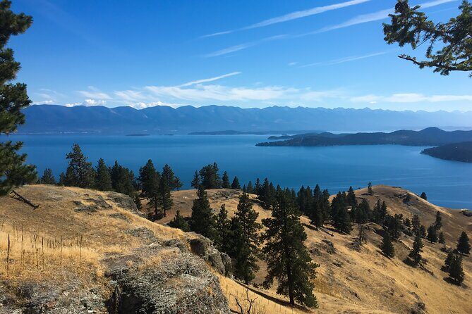 Flathead Lake Private Sunset Wild Horse Island Boat Tour - The Itinerary in Detail