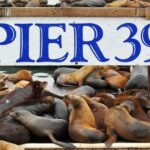 Flavors of Fisherman's Wharf: A Self Guided Audio Tour - The Practical Bits: Price, Duration, and Accessibility