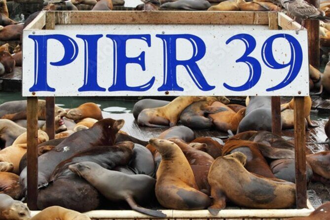 Flavors of Fisherman's Wharf: A Self Guided Audio Tour - The Practical Bits: Price, Duration, and Accessibility