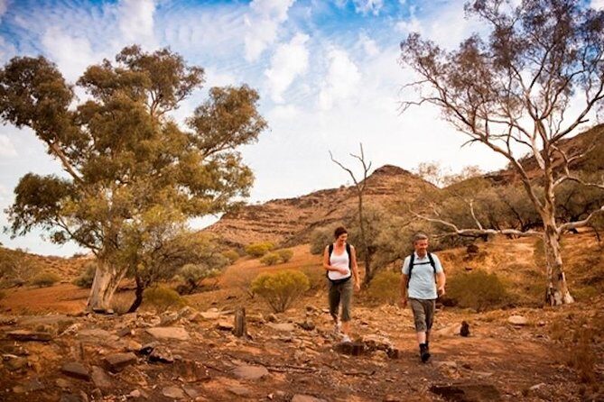 Flinders Ranges 3-Day Small Group 4WD Eco Tour from Adelaide - Day 2: Into the Heart of the Ranges