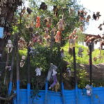 "Floating Party in Xochimilco: Canals, Tequila, and Tradition" - The Detailed Itinerary