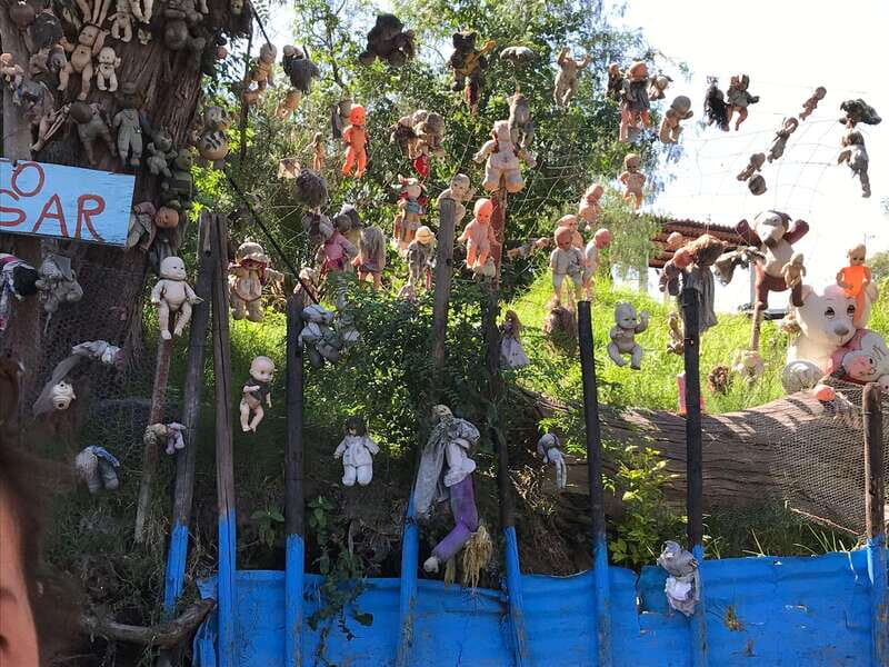 "Floating Party in Xochimilco: Canals, Tequila, and Tradition" - The Detailed Itinerary