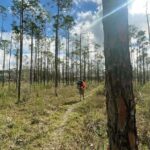 Florida Backcountry Overnight Camping Adventure - Who Should Consider This Tour?