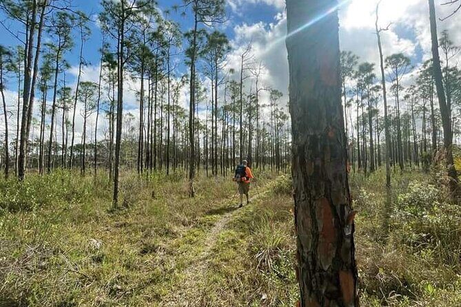 Florida Backcountry Overnight Camping Adventure - Who Should Consider This Tour?