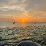 Florida: Emerald Coast Sunset & Dolphin Cruise with Guide - FAQs