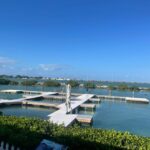 Florida Keys: Dockside Dolphin Experience - Is It Worth the Price?