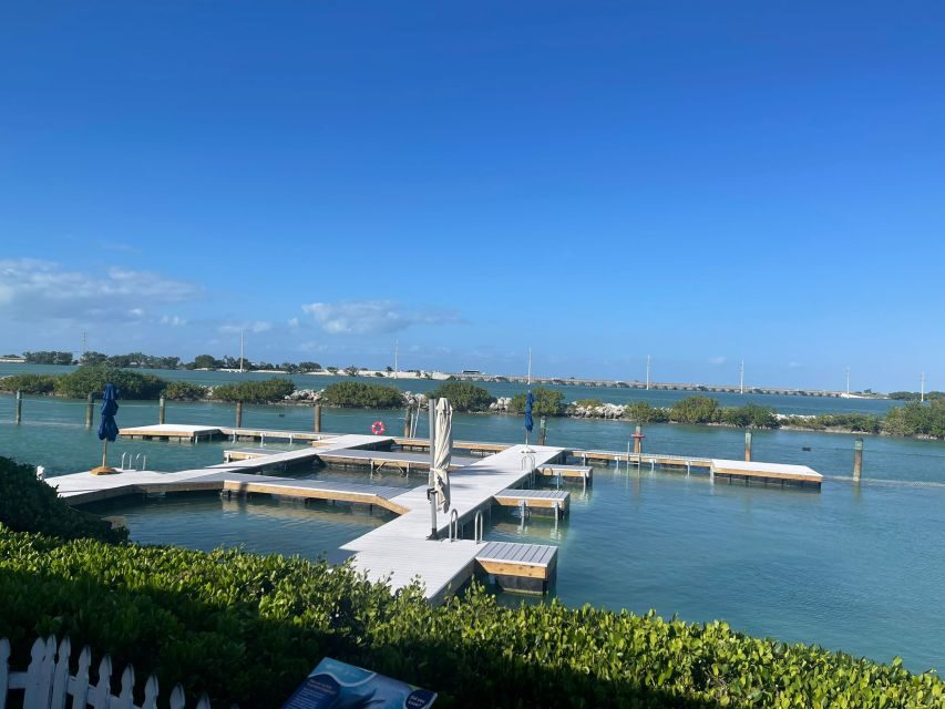 Florida Keys: Dockside Dolphin Experience - Is It Worth the Price?