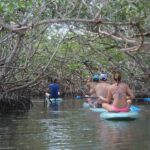 Florida Keys: Full-Day Kayak + Snorkel Coral Reef Adventure - Who Is This Tour Best For?
