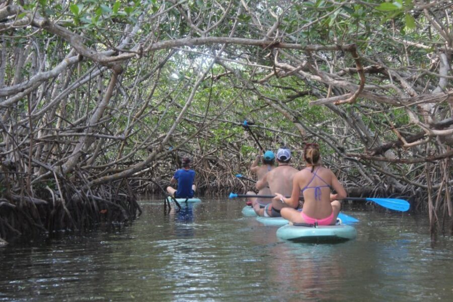 Florida Keys: Full-Day Kayak + Snorkel Coral Reef Adventure - Who Is This Tour Best For?