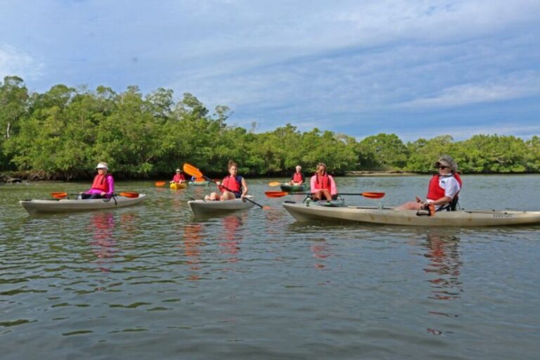 Florida Keys: Key West Kayak Eco Tour with Nature Guide - What’s Included and Practical Considerations