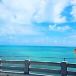 Florida Keys: Up The Keys Nature Tour - The Experience of a Guided Small-Group Tour