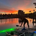 Florida: Sharkey's Guided Fish Feeding LED Night Tour - Marine Life and Nature Encounters