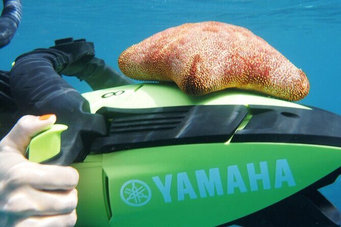 Flotation Therapy Rental 24 Hr Float Wetsuit, Goggle, Headphone - Who Is This Experience Best For?