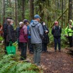 Foraging Tour of Edible Plants and Mushrooms in Brinnon - Who Should Consider This Tour?