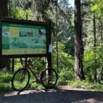 Forest Park Carbon Gravel Bike and E-Bike Tour - Who Is This Tour Best For?