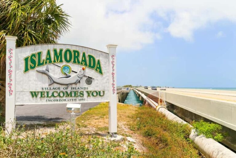 Fort Lauderdale to Islamorada Day Trip - Breaking Down the Cost and Value