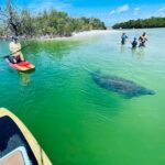 Fort Myers: Guided Standup Paddleboarding or Kayaking Tour - The Itinerary Breakdown