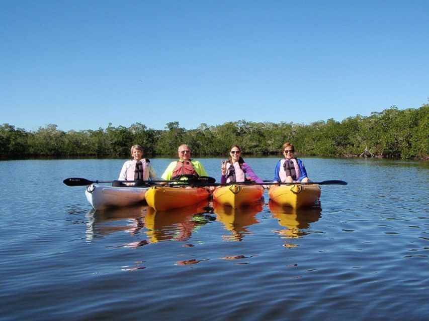 Fort Myers: Guided Sunset Kayaking Tour through Pelican Bay - Wildlife and Nature: What Will You See?