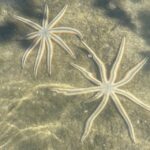 Fort Pierce: 8-hr Jungle and Lagoon passage to Ocean in FL - The Equipment & Logistics