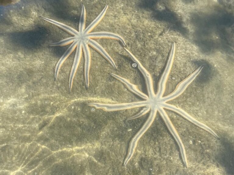 Fort Pierce: 8-hr Jungle and Lagoon passage to Ocean in FL - The Equipment & Logistics