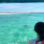 Fort Walton Beach: Emerald Coast 2-hour Dolphin Cruise - A Closer Look at the Emerald Coast Dolphin Cruise