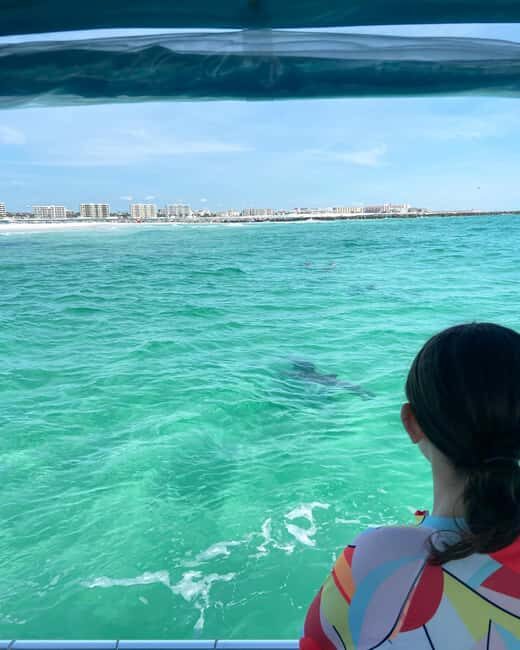 Fort Walton Beach: Emerald Coast 2-hour Dolphin Cruise - A Closer Look at the Emerald Coast Dolphin Cruise