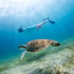 Fort Walton Beach: Morning Dolphin Cruise with Snorkel Stop - The experience: what travelers say