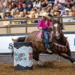 Fort Worth Championship Rodeo and Stockyards Tour - Transportation & Logistics
