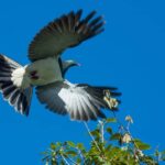 Franz Josef: Franz Josef Glacier Lookout Guided Walk - The Weather and Its Role in the Experience