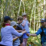 Franz Josef Glacier: 2.5-Hour Lake Mapourika Cruise and Walk - An Exclusive Walk into the Rainforest Kiwi Sanctuary