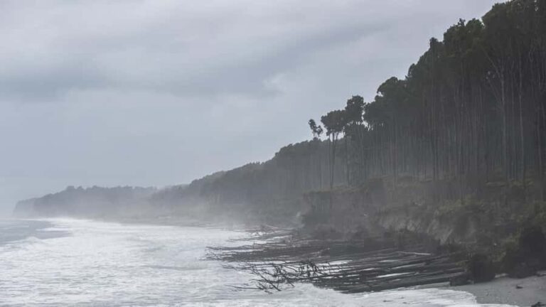 Franz Josef to Queenstown Day Tour - Transportation and Group Dynamics