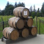 Fraser Valley Social Wine Tasting Private Tour - In-Depth Look at the Itinerary