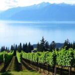 Fraser Valley Wine Escape Full Day Tour from Vancouver - Practical Aspects and Cost-Value Analysis