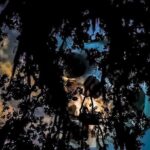 French Quarter True Crime Walking Tour - The Itinerary: What Will You See and Hear?