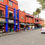 Frida Kahlo's House, Coyoacan and Xochimilco - All Day Tour - Short Stop at UNAMs Central Library