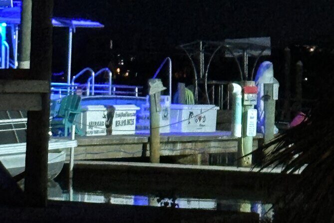 Frisky Mermaid Fireworks Cruise Up to 49 Pax - Who Should Consider This Cruise?